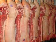 Мясо свинина оптом