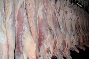 Говядина 1 категории (корова) в полутушах на кости замороженная 890тг Алматы 