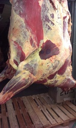 Свинина, говядина в полутушах от 3 тонн .